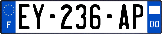 EY-236-AP