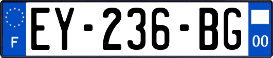 EY-236-BG