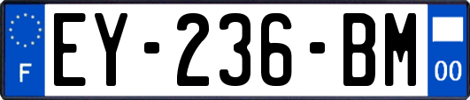 EY-236-BM