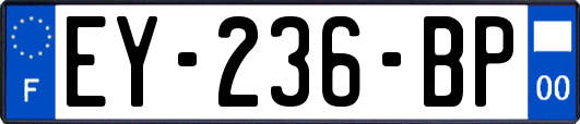EY-236-BP