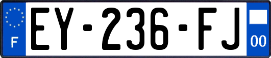 EY-236-FJ