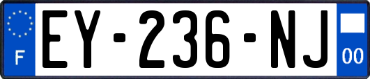 EY-236-NJ