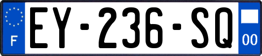 EY-236-SQ