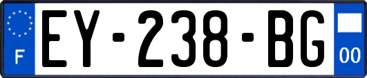 EY-238-BG