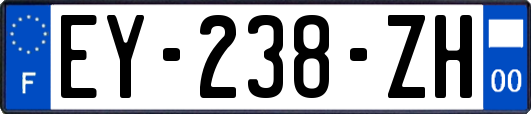 EY-238-ZH