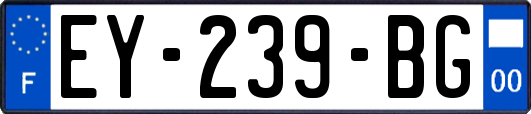 EY-239-BG