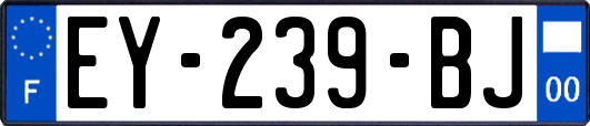 EY-239-BJ