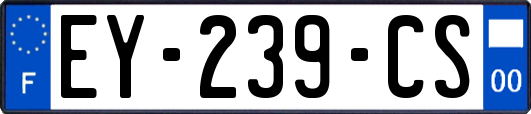 EY-239-CS