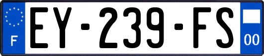 EY-239-FS