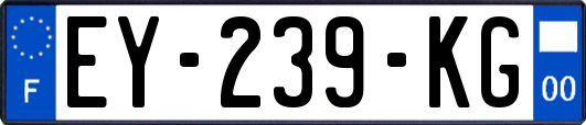 EY-239-KG