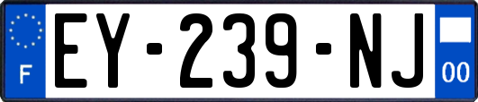 EY-239-NJ