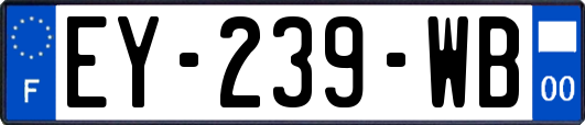 EY-239-WB