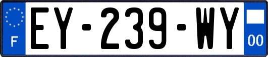 EY-239-WY