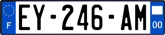 EY-246-AM