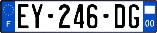 EY-246-DG