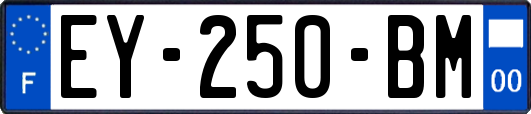 EY-250-BM