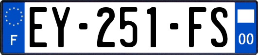 EY-251-FS
