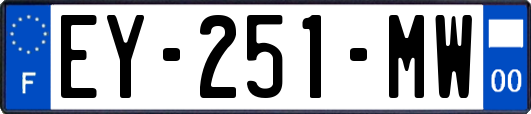 EY-251-MW
