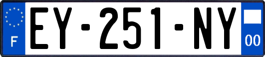 EY-251-NY