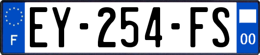EY-254-FS