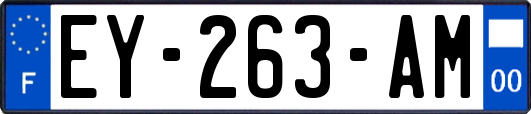 EY-263-AM