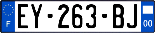 EY-263-BJ