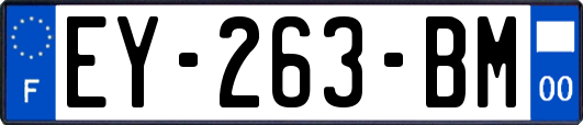 EY-263-BM