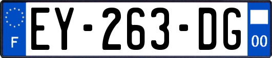 EY-263-DG