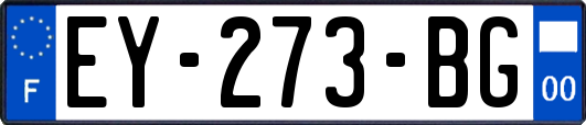 EY-273-BG