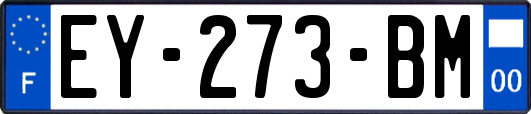 EY-273-BM