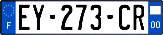EY-273-CR
