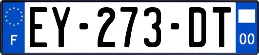 EY-273-DT