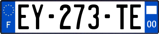 EY-273-TE