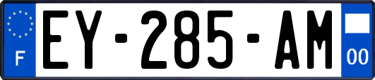 EY-285-AM