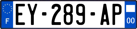 EY-289-AP