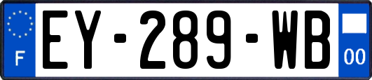 EY-289-WB