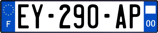 EY-290-AP