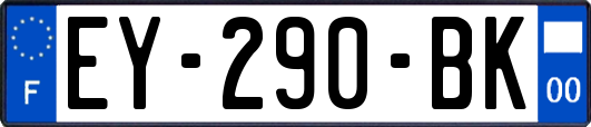 EY-290-BK