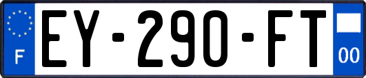 EY-290-FT