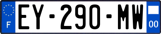 EY-290-MW