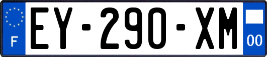 EY-290-XM