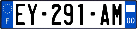 EY-291-AM