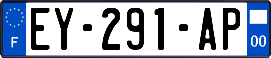 EY-291-AP