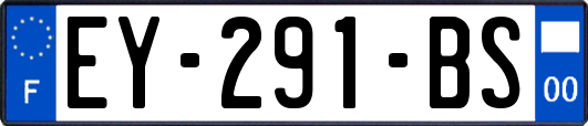 EY-291-BS