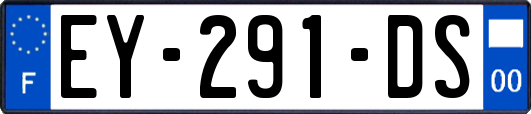 EY-291-DS