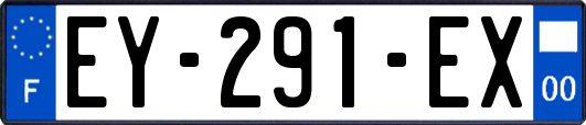EY-291-EX