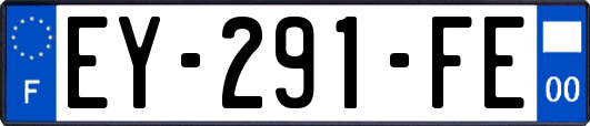 EY-291-FE
