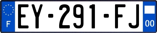 EY-291-FJ