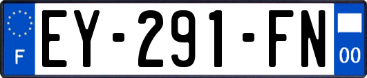 EY-291-FN