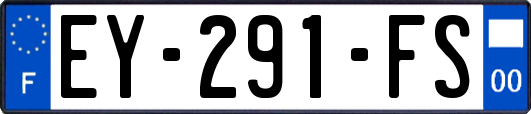 EY-291-FS